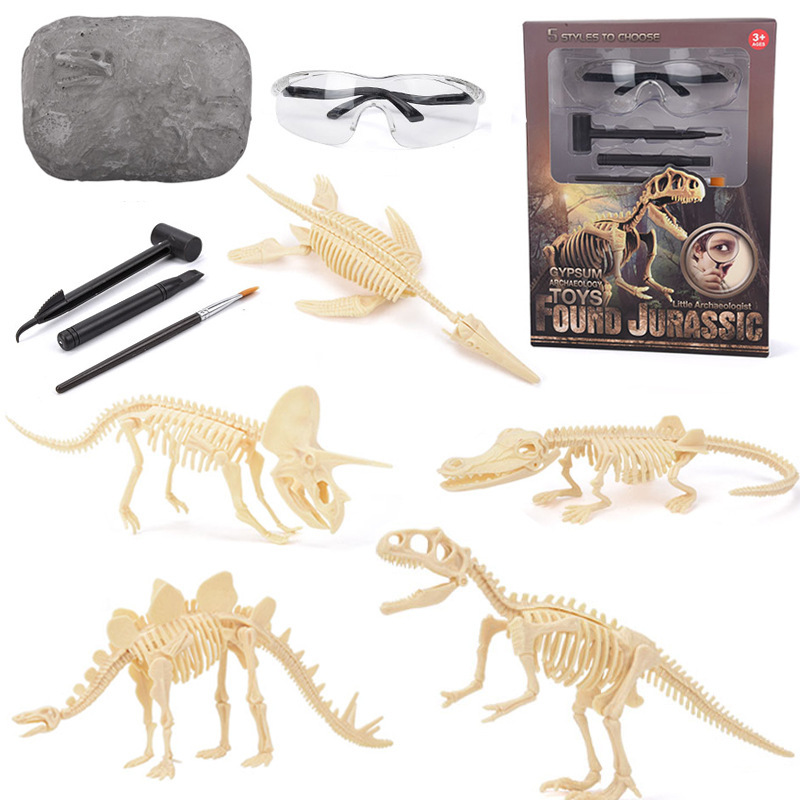 Kit d'excavation de fossiles d - Model Kit Excavator avis et prix